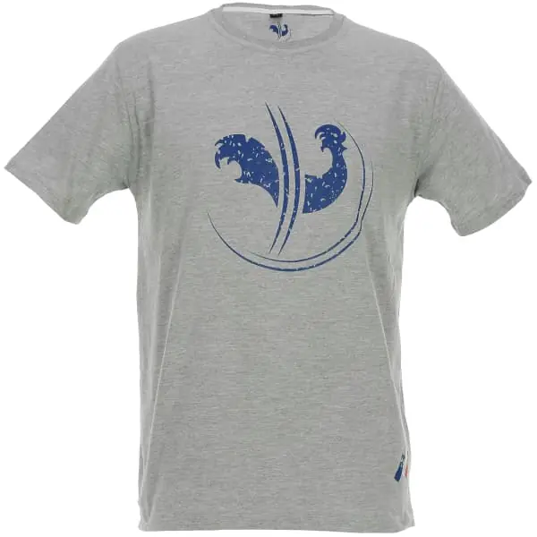 Hoge Kwaliteit T-shirtFFSTEE-SHIRT GRIS/BLEU
